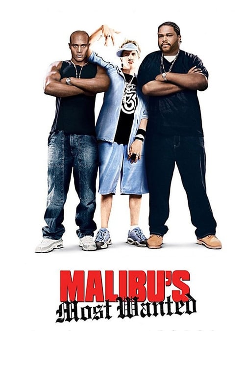 Grootschalige poster van Malibu's Most Wanted