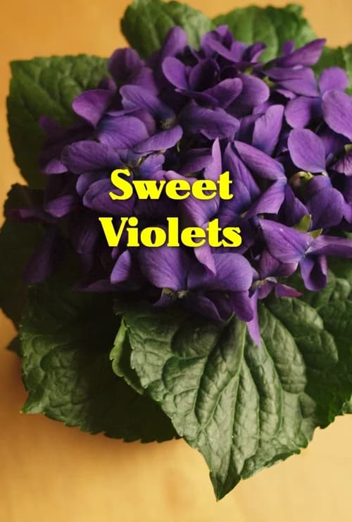 Poster Sweet Violets 2012