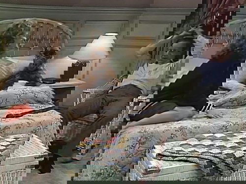 Escena del episodio 9 de la temporada 2 de la serie ALF
