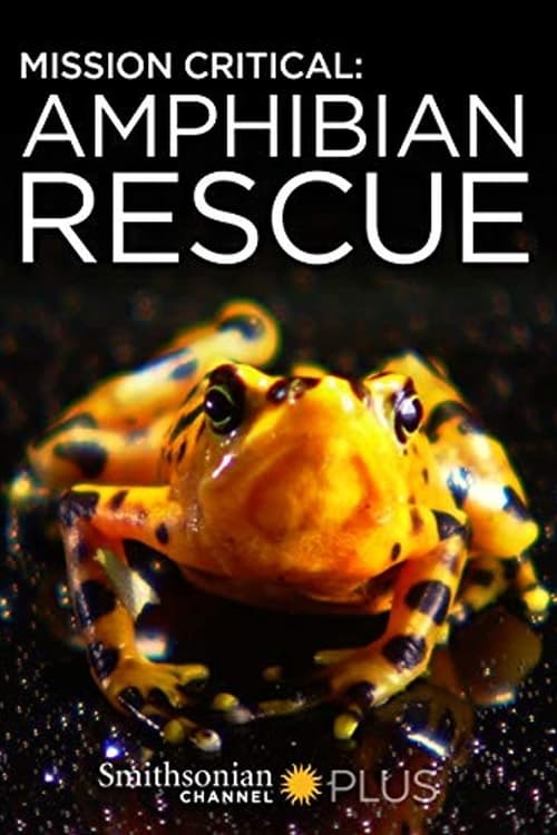 Mission Critical: Amphibian Rescue poster