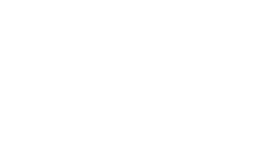 A Man Named Scott