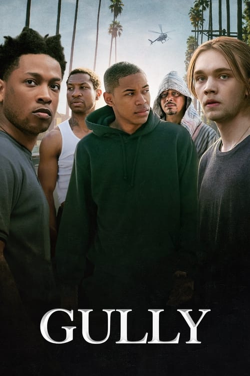 Gully poster