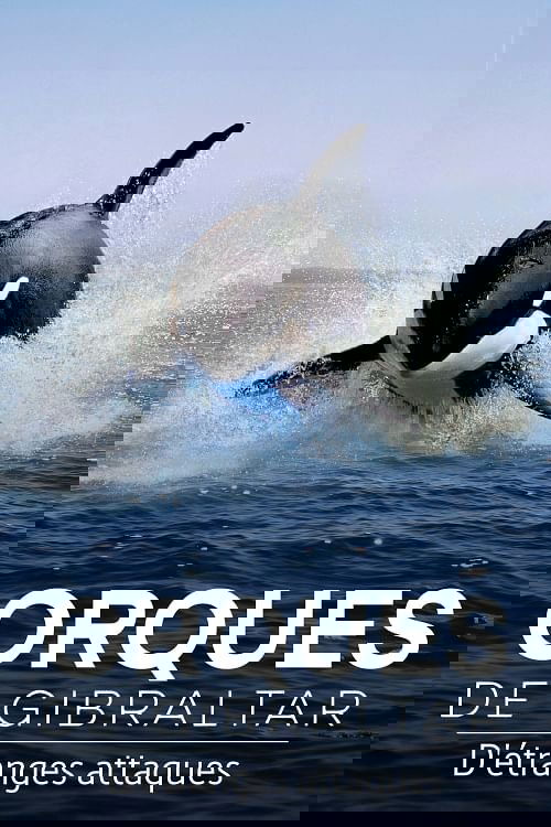 Poster image du film Orques de Gibraltar : D'étranges attaques Orques de Gibraltar : D'étranges attaques