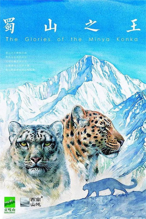 蜀山之王 poster