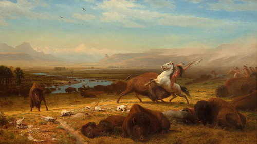 The American Buffalo