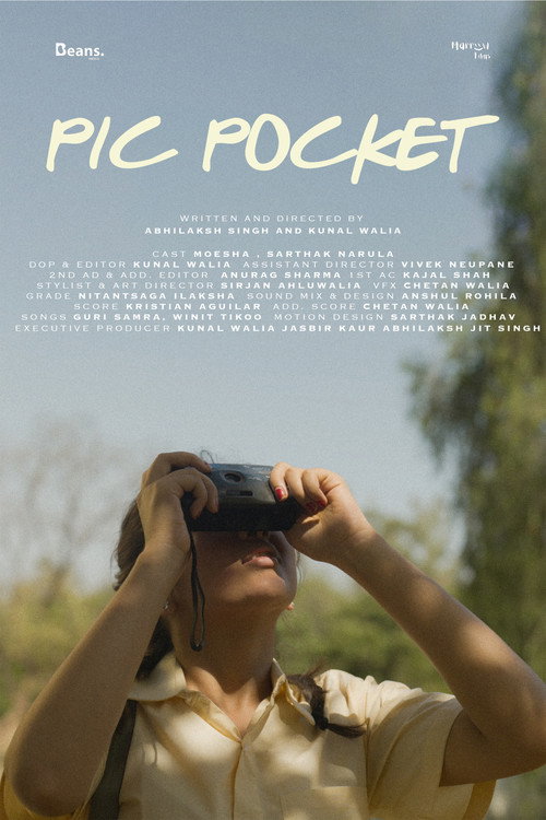 Pic Pocket poster