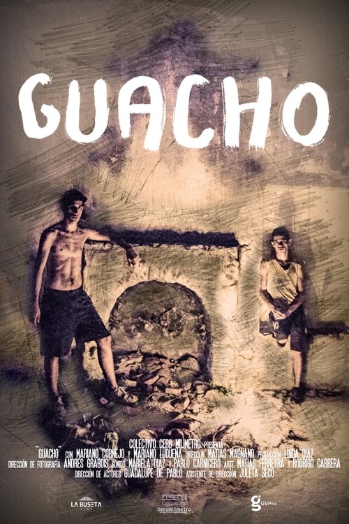 Poster Guacho 2018