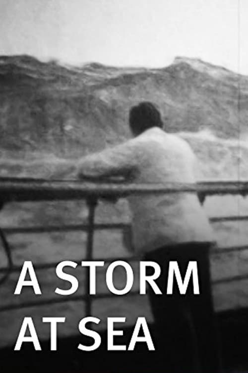 A Storm at Sea Movie Poster Image