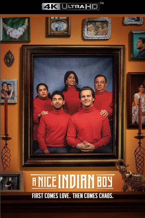 A Nice Indian Boy poster