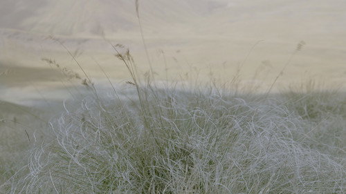 Fibers Backdrop Blur