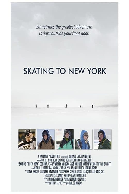 Grootschalige poster van Skating to New York
