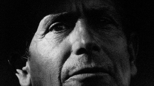 Under the Sky Shelter