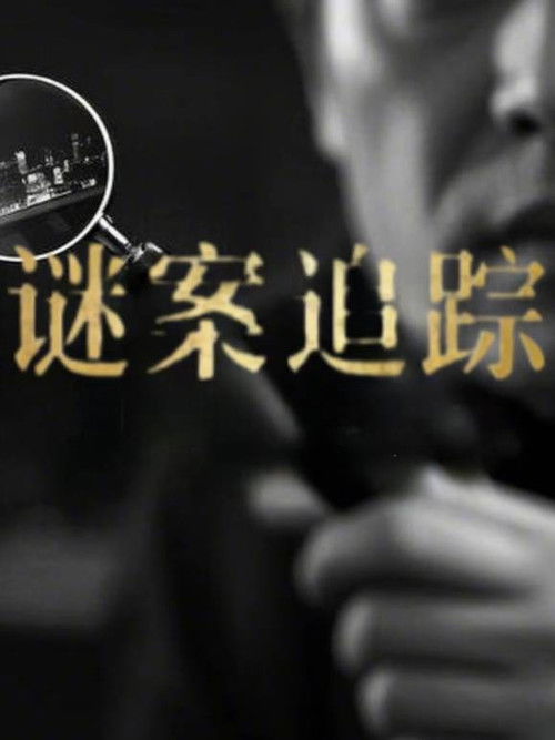 谜案追踪