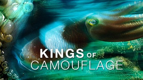 Poster della serie NOVA