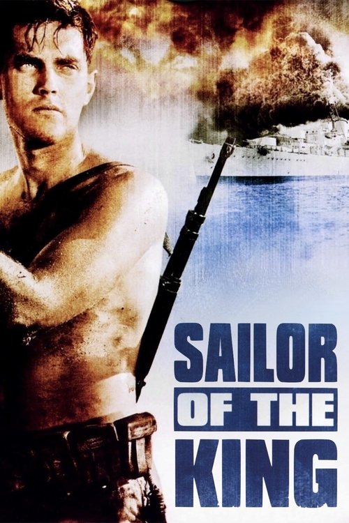 Poster 2