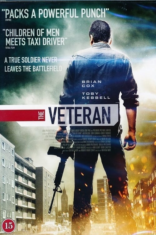 Largescale poster for The Veteran