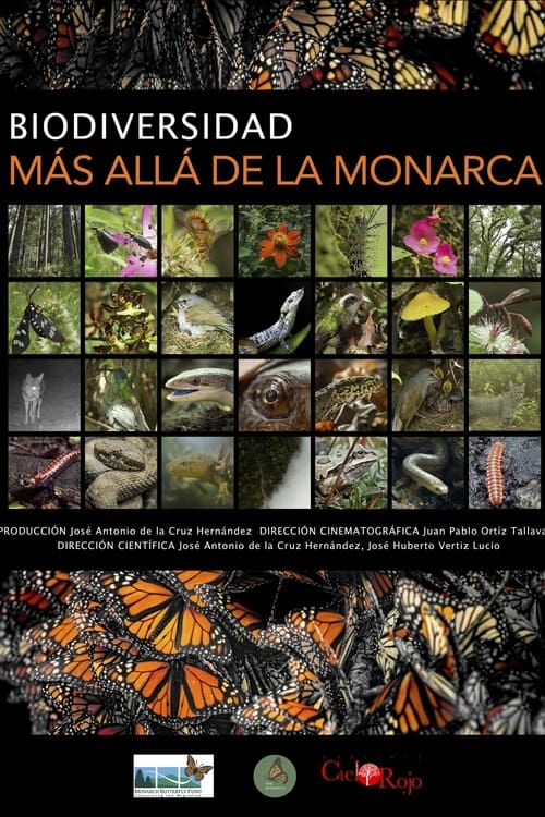 Poster Biodiversidad, más allá de la monarca 2020