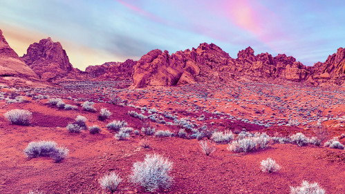 Кадр из Nevada Wild