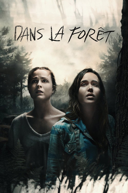 Affiche de Into the Forest