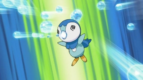 A Grande Virada de Piplup!