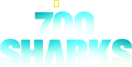 700 Sharks