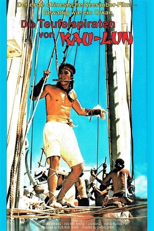 The Pirate poster