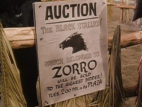 Poster della serie Zorro