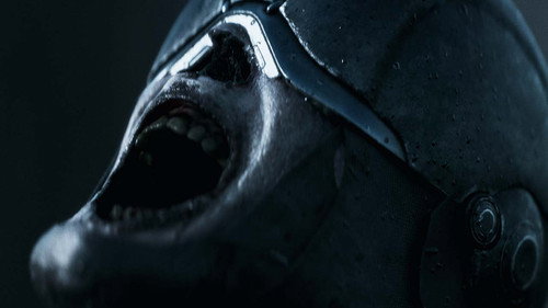 SJOR | Rise of the North