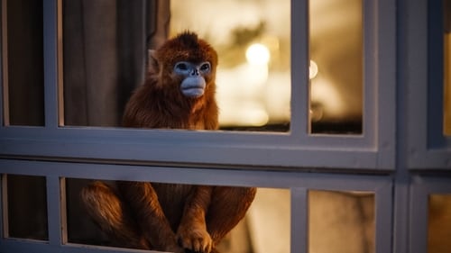 His Dark Materials – Fronteiras do Universo: 1×3