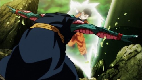 Dragon Ball Super: 1×118