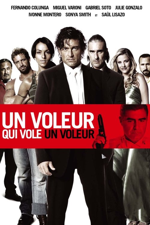 Poster image du film Un voleur qui vole un voleur Un voleur qui vole un voleur