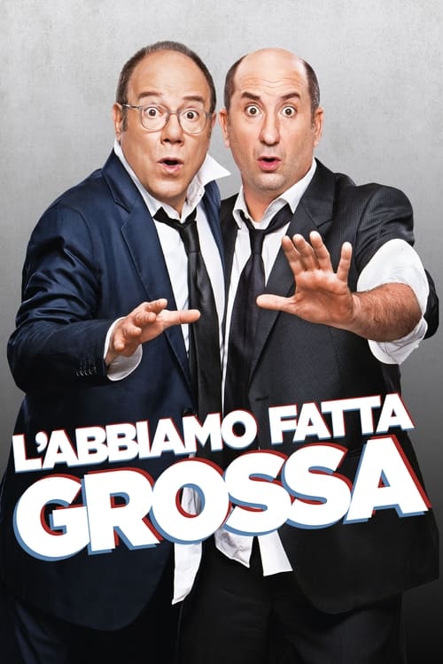 L'abbiamo fatta grossa (2016) poster