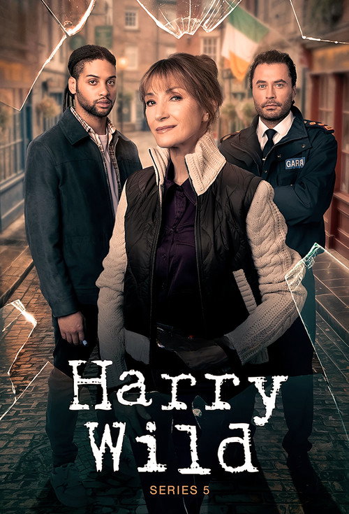 Harry Wild: Season 5 poster