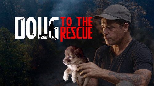 Doug to the Rescue — Fundos 3