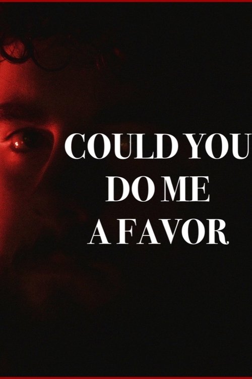 Poster image du film COULD YOU DO ME A FAVOR COULD YOU DO ME A FAVOR