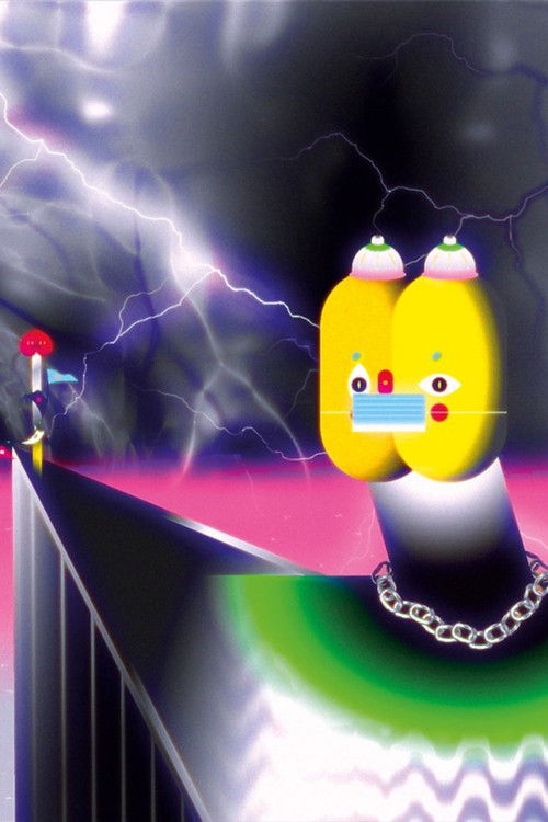 Sorry for the Late Reply