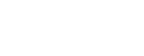 Hunt for the Wilderpeople
