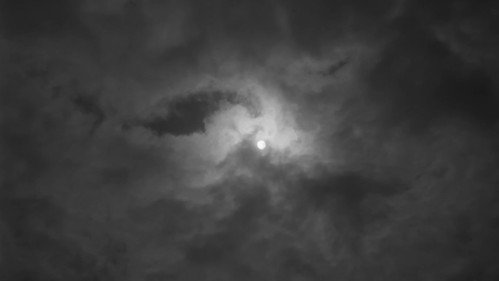 The Cranes Are Flying — still 12