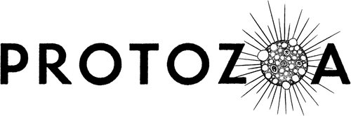 Protozoa Pictures Protozoa Pictures