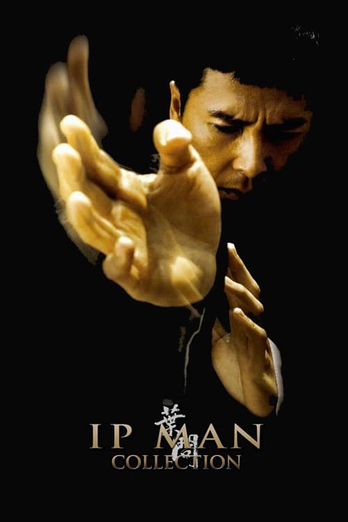 Ip Man Filmreihe Poster