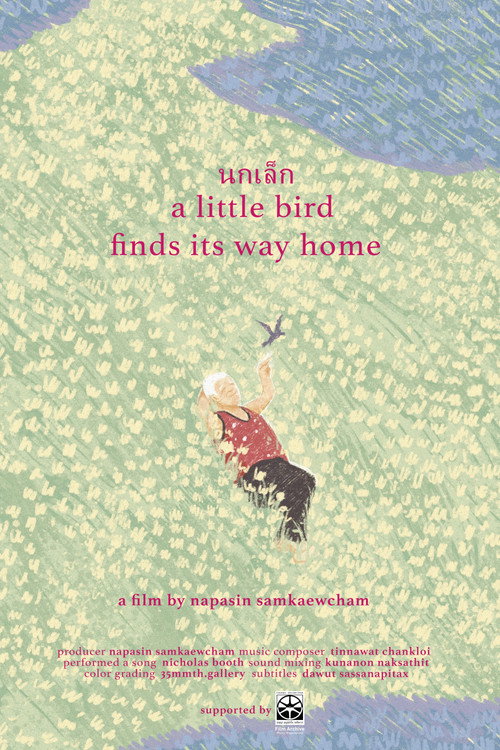 a little bird finds its way home