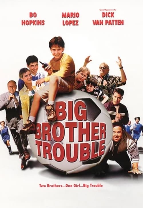 Poster do filme Big Brother Trouble