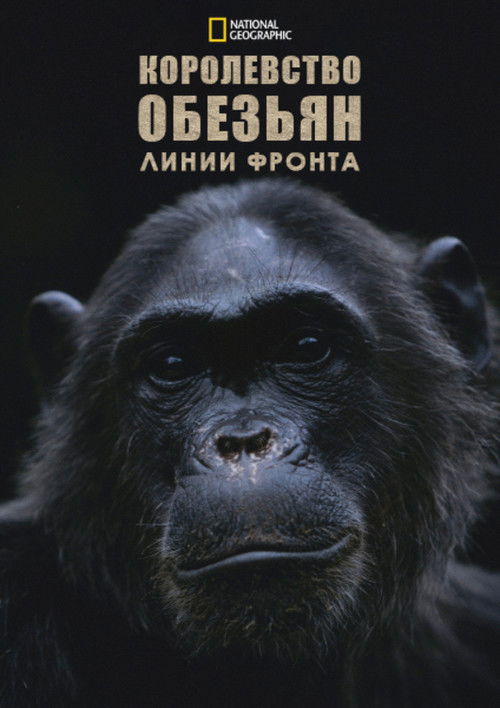 Королевство обезьян: линии фронта