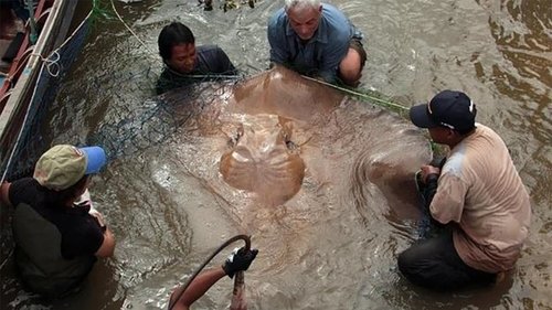 Poster della serie River Monsters