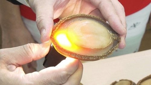 Image de l'épisode 39