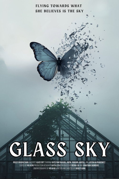 Glass Sky - FİLM Afişi