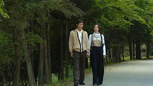 看了又看 原盘版