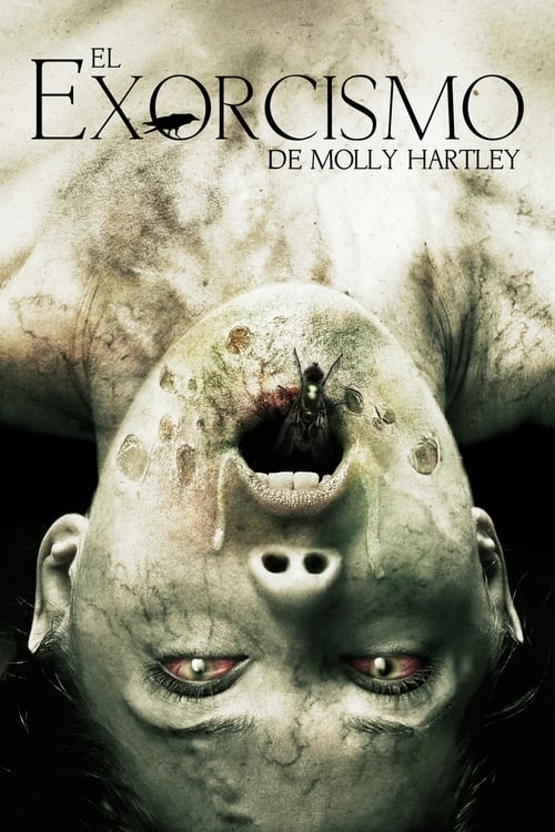 The Exorcism of Molly Hartley poster