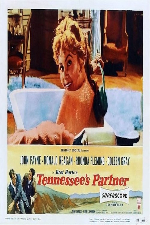 Tennessee's Partner poster