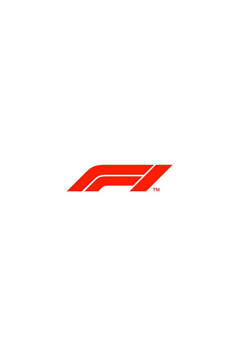 Formula 1 poszter
